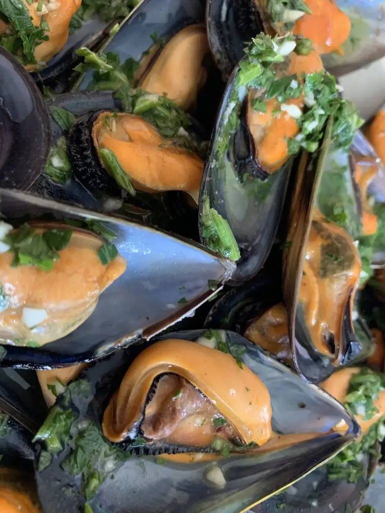 mussels, meal, seafood, dish, cuisine, plate, mediterranean